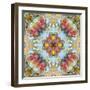 Mandala, Symmetrical Arrangement of Natural Materials-Alaya Gadeh-Framed Photographic Print