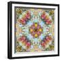 Mandala, Symmetrical Arrangement of Natural Materials-Alaya Gadeh-Framed Photographic Print