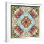 Mandala, Symmetrical Arrangement of Natural Materials-Alaya Gadeh-Framed Photographic Print