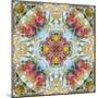 Mandala, Symmetrical Arrangement of Natural Materials-Alaya Gadeh-Mounted Photographic Print