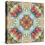 Mandala, Symmetrical Arrangement of Natural Materials-Alaya Gadeh-Stretched Canvas