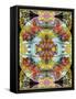 Mandala, Symmetrical Arrangement of Natural Materials-Alaya Gadeh-Framed Stretched Canvas