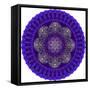 Mandala-SaniyaF-Framed Stretched Canvas