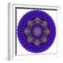 Mandala-SaniyaF-Framed Premium Giclee Print