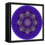 Mandala-SaniyaF-Framed Stretched Canvas