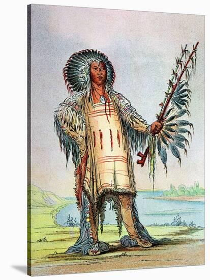 Mandan Indian Ha-Na-Tah-Muah (Wolf Chief)-George Catlin-Stretched Canvas