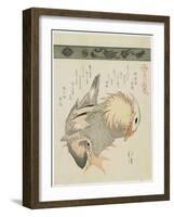 Mandarin Duck and Drake, C. 1830-Toyota Hokkei-Framed Giclee Print