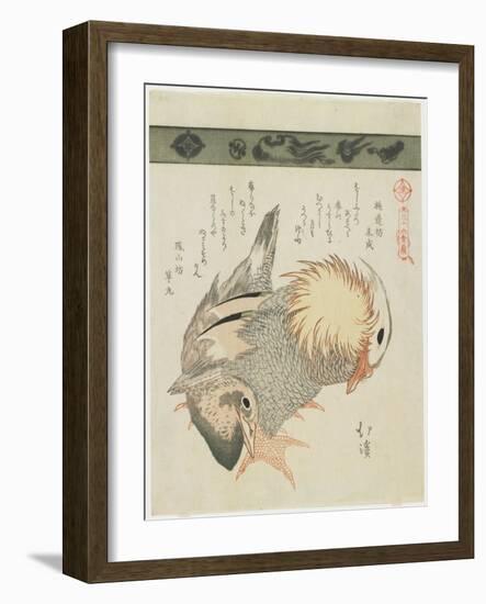 Mandarin Duck and Drake, C. 1830-Toyota Hokkei-Framed Giclee Print