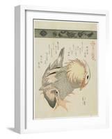 Mandarin Duck and Drake, C. 1830-Toyota Hokkei-Framed Giclee Print