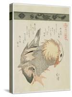 Mandarin Duck and Drake, C. 1830-Toyota Hokkei-Stretched Canvas