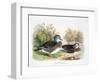 Mandarin Duck II-Henry Jones-Framed Premium Giclee Print