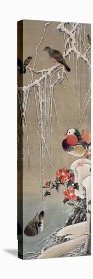 Mandarin Duck in the Snow 1-Jakuchu Ito-Stretched Canvas