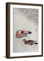 Mandarin Ducks in Snow-Koson Ohara-Framed Giclee Print