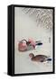 Mandarin Ducks in Snow-Koson Ohara-Framed Stretched Canvas