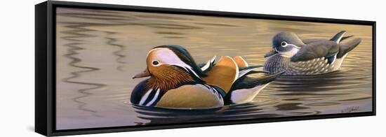 Mandarin Ducks-Wilhelm Goebel-Framed Stretched Canvas