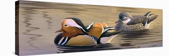 Mandarin Ducks-Wilhelm Goebel-Stretched Canvas