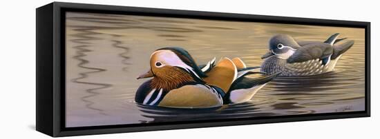 Mandarin Ducks-Wilhelm Goebel-Framed Stretched Canvas