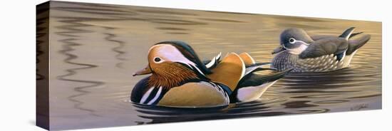 Mandarin Ducks-Wilhelm Goebel-Stretched Canvas