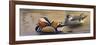 Mandarin Ducks-Wilhelm Goebel-Framed Giclee Print