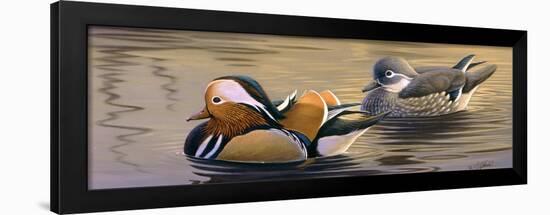 Mandarin Ducks-Wilhelm Goebel-Framed Giclee Print