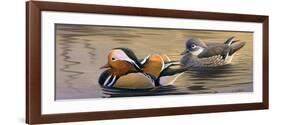 Mandarin Ducks-Wilhelm Goebel-Framed Giclee Print