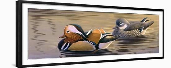 Mandarin Ducks-Wilhelm Goebel-Framed Giclee Print