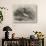 Mandarin Ducks-Harrison William Weir-Giclee Print displayed on a wall