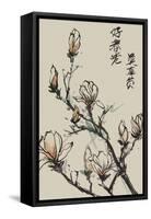 Mandarin Magnolia I-Melissa Wang-Framed Stretched Canvas