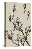 Mandarin Magnolia I-Melissa Wang-Stretched Canvas