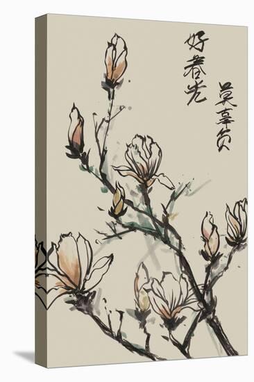 Mandarin Magnolia I-Melissa Wang-Stretched Canvas