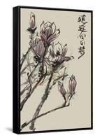 Mandarin Magnolia II-Melissa Wang-Framed Stretched Canvas