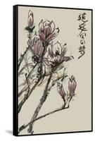 Mandarin Magnolia II-Melissa Wang-Framed Stretched Canvas