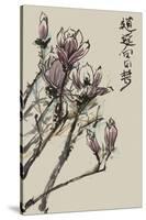 Mandarin Magnolia II-Melissa Wang-Stretched Canvas