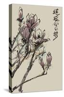 Mandarin Magnolia II-Melissa Wang-Stretched Canvas