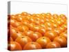 Mandarin Oranges in Rows-Michael Löffler-Stretched Canvas
