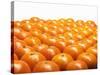 Mandarin Oranges in Rows-Michael Löffler-Stretched Canvas