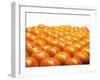 Mandarin Oranges in Rows-Michael Löffler-Framed Photographic Print