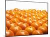 Mandarin Oranges in Rows-Michael Löffler-Mounted Photographic Print