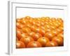 Mandarin Oranges in Rows-Michael Löffler-Framed Photographic Print