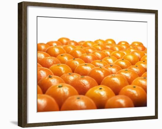 Mandarin Oranges in Rows-Michael Löffler-Framed Photographic Print