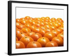 Mandarin Oranges in Rows-Michael Löffler-Framed Photographic Print