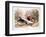 Mandarin-Henry Jones-Framed Premium Giclee Print