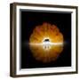 Mandarine-Wieteke de Kogel-Framed Photographic Print