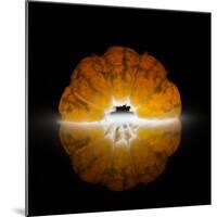 Mandarine-Wieteke de Kogel-Mounted Photographic Print