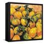 Mandarins, 2004-Pedro Diego Alvarado-Framed Stretched Canvas
