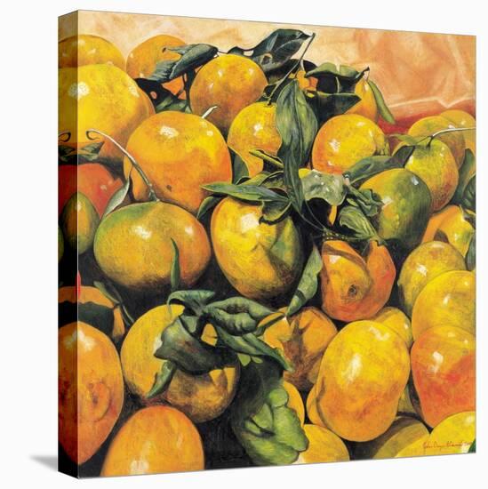 Mandarins, 2004-Pedro Diego Alvarado-Stretched Canvas