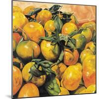 Mandarins, 2004-Pedro Diego Alvarado-Mounted Giclee Print