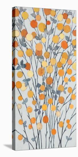 Mandarins III-Sally Bennett Baxley-Stretched Canvas