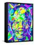 Mandela-Cristian Mielu-Framed Stretched Canvas