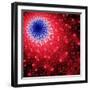 Mandelbrot Fractal-Laguna Design-Framed Premium Photographic Print